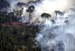 Los incendios en el Amazonas generaron un récord de emisiones de gases en la región