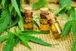 El Gobierno modificó los requisitos para inscribirse en el programa de Cannabis medicinal