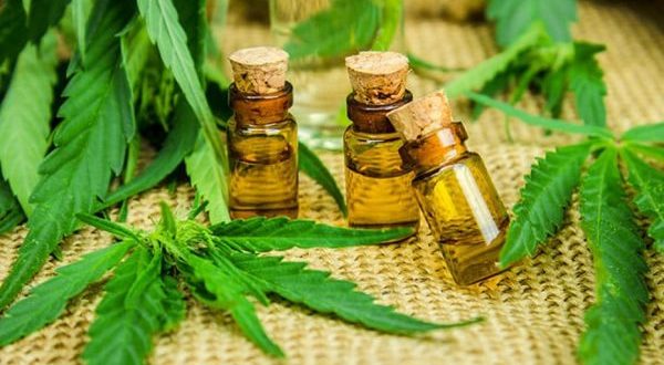 El Gobierno modificó los requisitos para inscribirse en el programa de Cannabis medicinal